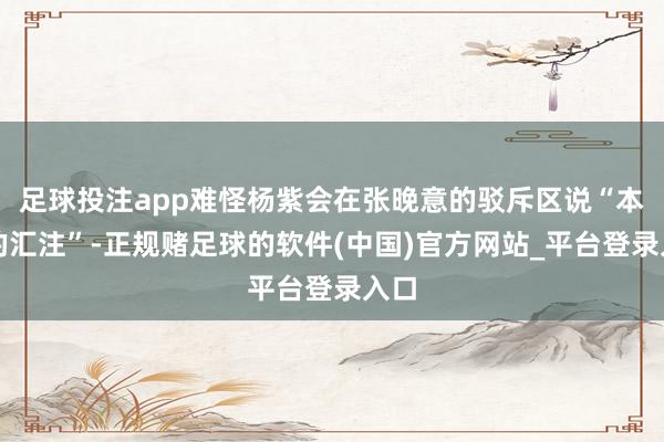 足球投注app难怪杨紫会在张晚意的驳斥区说“本旨的汇注”-正规赌足球的软件(中国)官方网站_平台登录入口