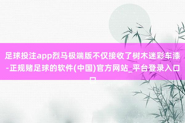 足球投注app烈马极端版不仅接收了树木迷彩车漆-正规赌足球的软件(中国)官方网站_平台登录入口