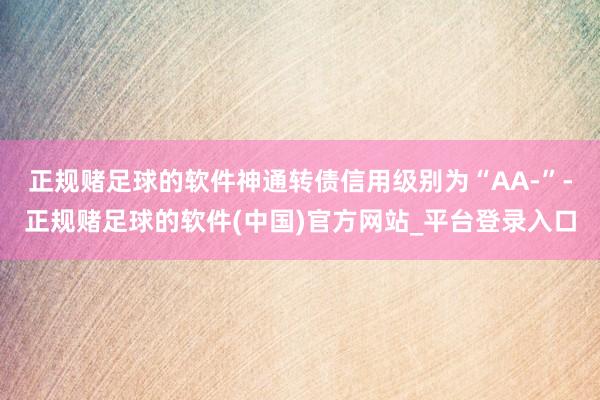 正规赌足球的软件神通转债信用级别为“AA-”-正规赌足球的软件(中国)官方网站_平台登录入口