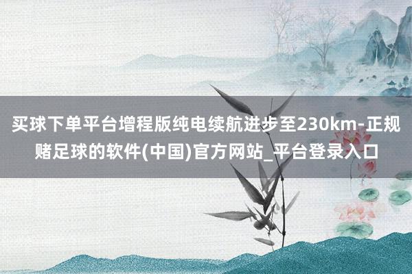 买球下单平台增程版纯电续航进步至230km-正规赌足球的软件(中国)官方网站_平台登录入口