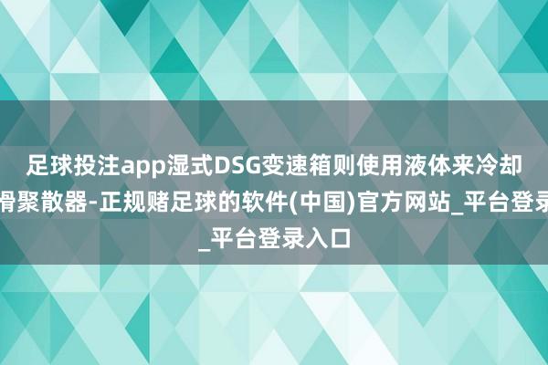 足球投注app湿式DSG变速箱则使用液体来冷却和润滑聚散器-正规赌足球的软件(中国)官方网站_平台登录入口