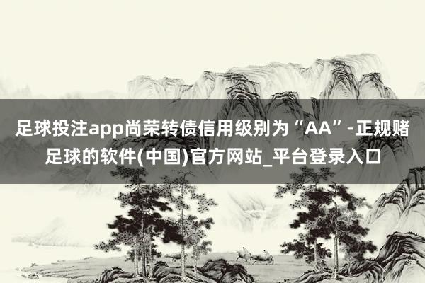 足球投注app尚荣转债信用级别为“AA”-正规赌足球的软件(中国)官方网站_平台登录入口