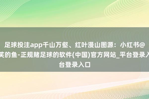 足球投注app千山万壑、红叶漫山图源：小红书@含笑的鱼-正规赌足球的软件(中国)官方网站_平台登录入口