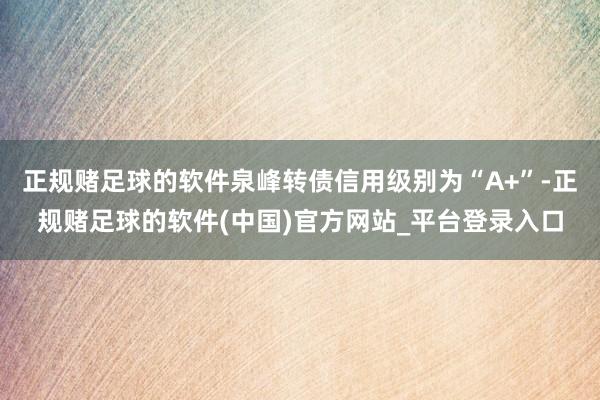 正规赌足球的软件泉峰转债信用级别为“A+”-正规赌足球的软件(中国)官方网站_平台登录入口