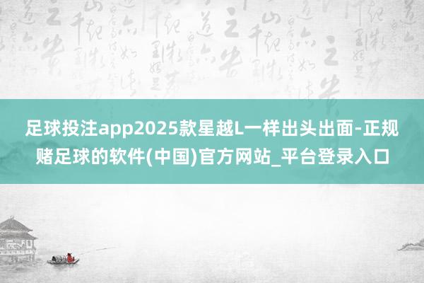 足球投注app2025款星越L一样出头出面-正规赌足球的软件(中国)官方网站_平台登录入口