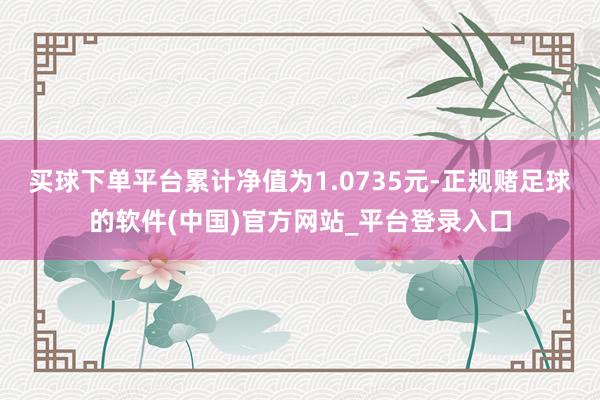 买球下单平台累计净值为1.0735元-正规赌足球的软件(中国)官方网站_平台登录入口