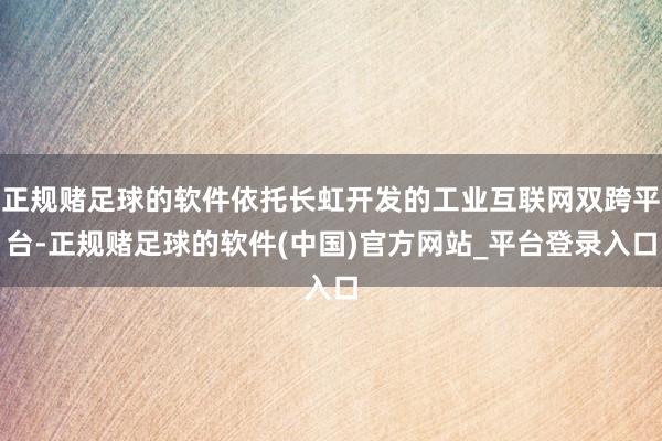 正规赌足球的软件依托长虹开发的工业互联网双跨平台-正规赌足球的软件(中国)官方网站_平台登录入口