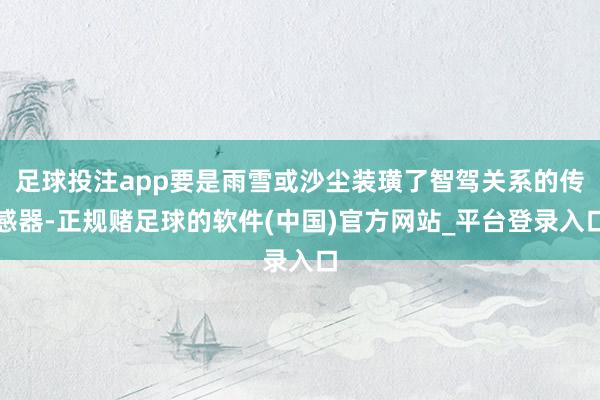 足球投注app要是雨雪或沙尘装璜了智驾关系的传感器-正规赌足球的软件(中国)官方网站_平台登录入口