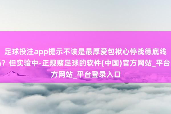 足球投注app提示不该是最厚爱包袱心停战德底线的行状吗？但实验中-正规赌足球的软件(中国)官方网站_平台登录入口