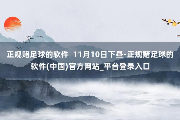 正规赌足球的软件  11月10日下昼-正规赌足球的软件(中国)官方网站_平台登录入口