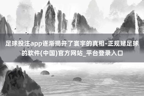 足球投注app逐渐揭开了寰宇的真相-正规赌足球的软件(中国)官方网站_平台登录入口