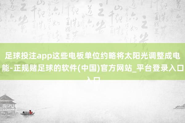 足球投注app这些电板单位约略将太阳光调整成电能-正规赌足球的软件(中国)官方网站_平台登录入口