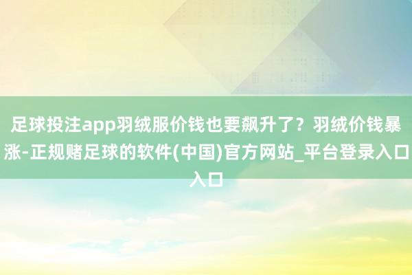 足球投注app羽绒服价钱也要飙升了？羽绒价钱暴涨-正规赌足球的软件(中国)官方网站_平台登录入口