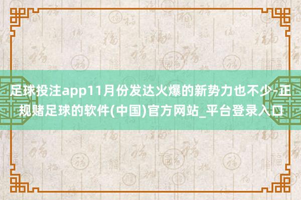 足球投注app11月份发达火爆的新势力也不少-正规赌足球的软件(中国)官方网站_平台登录入口