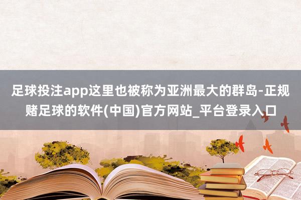 足球投注app这里也被称为亚洲最大的群岛-正规赌足球的软件(中国)官方网站_平台登录入口