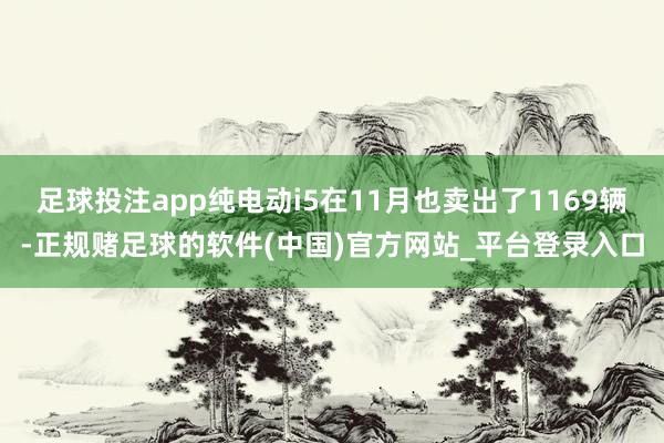 足球投注app纯电动i5在11月也卖出了1169辆-正规赌足球的软件(中国)官方网站_平台登录入口