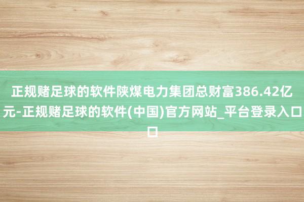 正规赌足球的软件陕煤电力集团总财富386.42亿元-正规赌足球的软件(中国)官方网站_平台登录入口