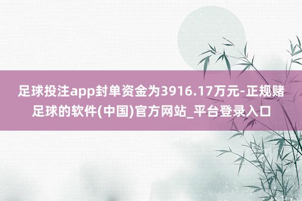 足球投注app封单资金为3916.17万元-正规赌足球的软件(中国)官方网站_平台登录入口